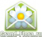 Логотип компании Доставка цветов Гранд Флора (ф-л г.Белово)
